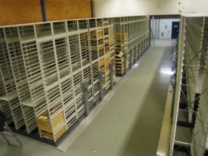 Compactus